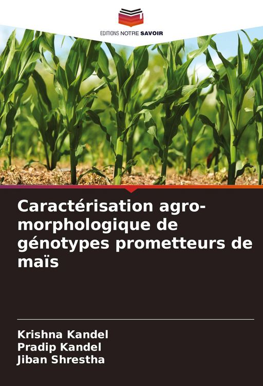 Produktbild: Caract&eacute;risation agro-morphologique de g&eacute;notypes prometteurs de ma&iuml;s