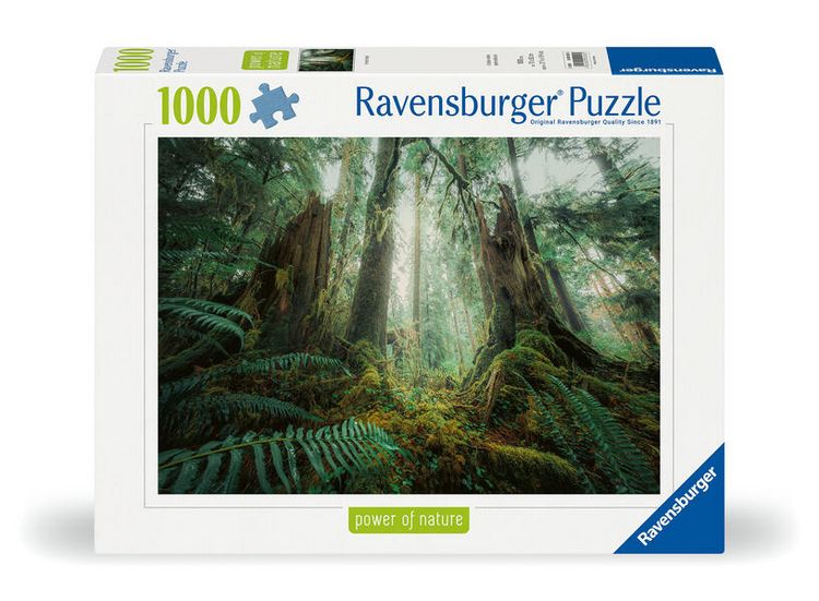 Produktbild: Erwachsenenpuzzle 1000 Teile - Faszinierender Wald