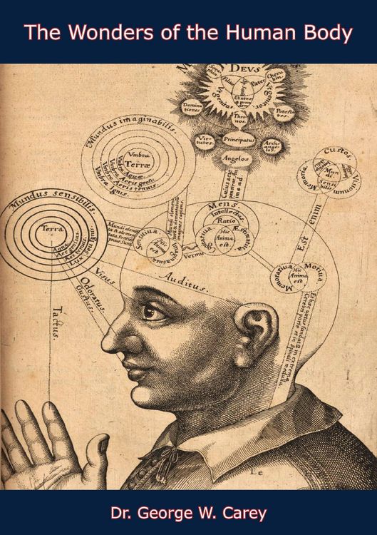 Produktbild: Wonders of the Human Body