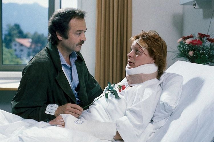 Produktbild: Waldhaus - Die komplette ZDF-Serie in 18 Teilen (Fernsehjuwelen) [6 DVDs]