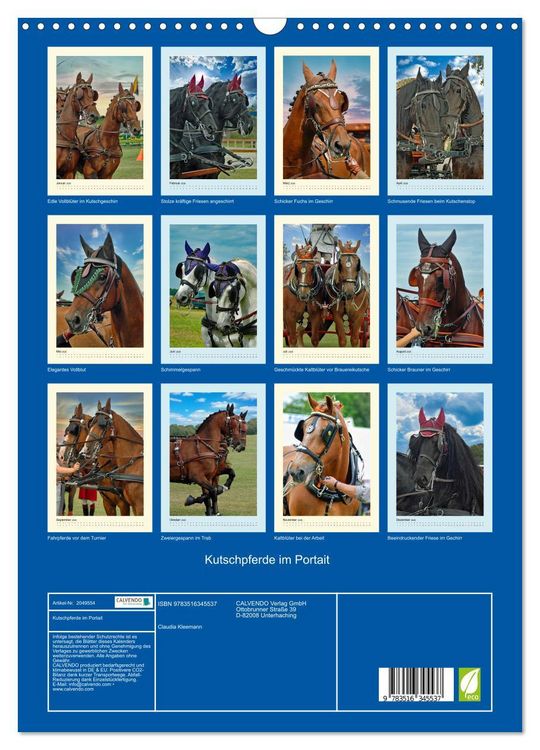 Produktbild: Kutschpferde im Portait (Wandkalender 2026 DIN A3 hoch), CALVENDO Monatskalender