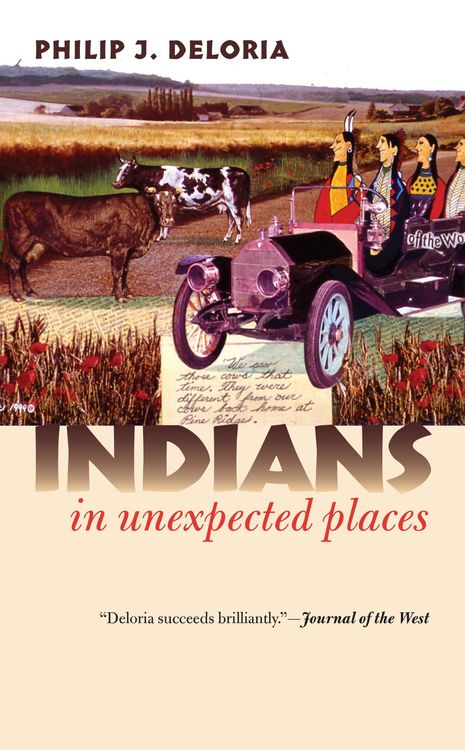 Produktbild: Indians in Unexpected Places