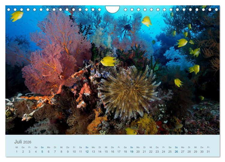 Produktbild: Abenteuer Unterwasser (Wandkalender 2026 DIN A4 quer), CALVENDO Monatskalender