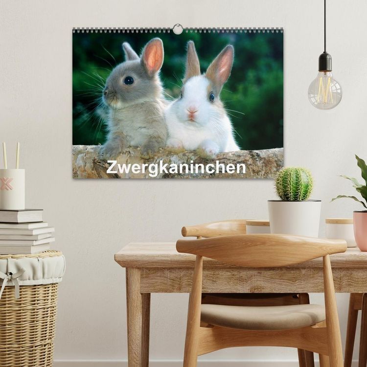 Produktbild: Zwergkaninchen (Wandkalender 2027 DIN A3 quer), CALVENDO Monatskalender