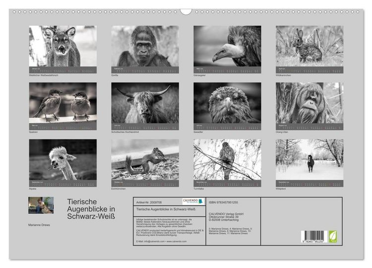 Produktbild: Tierische Augenblicke in Schwarz-Wei&szlig; (Wandkalender 2026 DIN A2 quer), CALVENDO Monatskalender