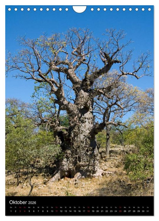 Produktbild: Faszination Namibia (Wandkalender 2026 DIN A4 hoch), CALVENDO Monatskalender