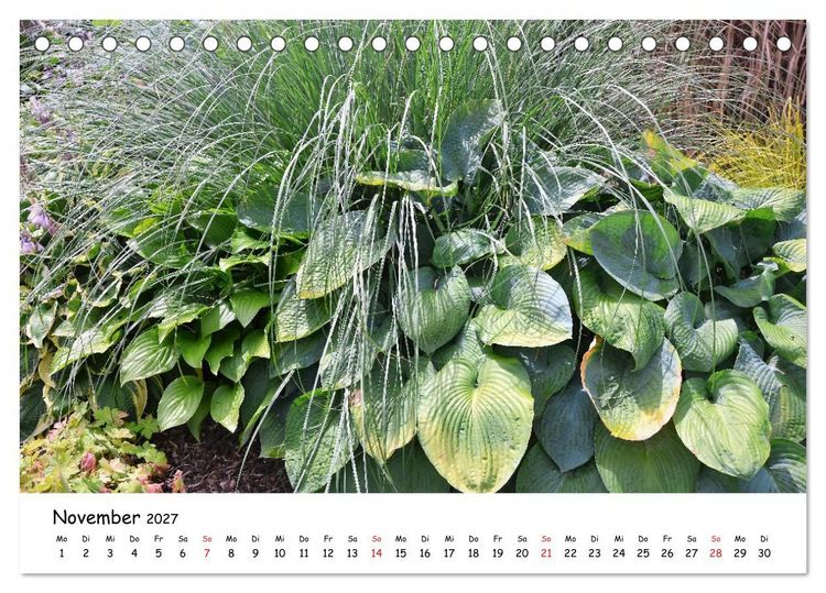 Produktbild: Mein Garten Eine Leidenschaft (Tischkalender 2027 DIN A5 quer), CALVENDO Monatskalender