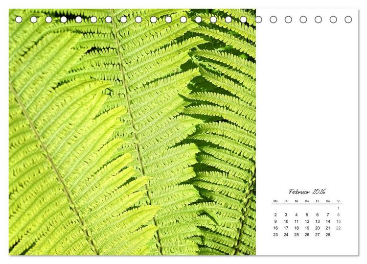 Produktbild: Blattkunst (Tischkalender 2026 DIN A5 quer), CALVENDO Monatskalender