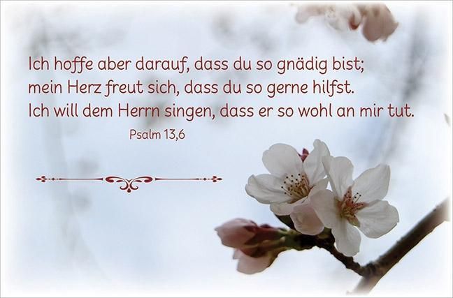 Produktbild: Deine Gebete aus den Psalmen
