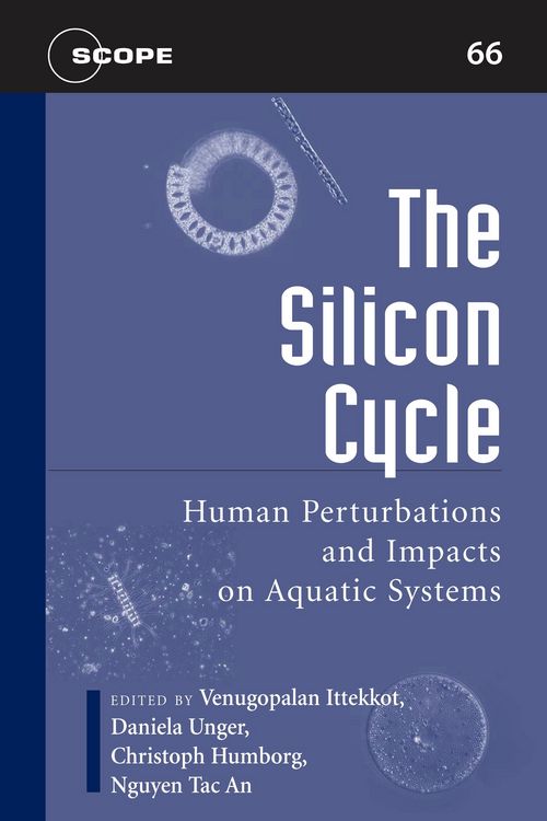 Produktbild: The Silicon Cycle