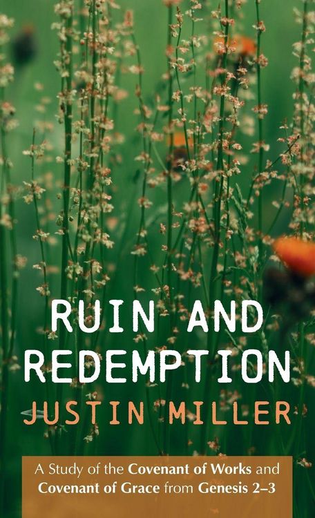 Produktbild: Ruin and Redemption