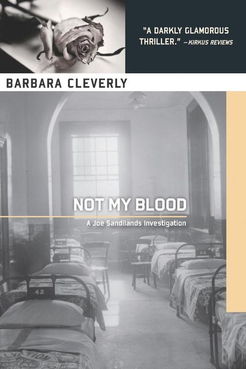 Produktbild: Not My Blood