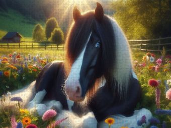 Produktbild: CALVENDO Puzzle Tinker Pony Meadow und ihre bunten Blumen | 1000 Teile Lege-Gr&ouml;&szlig;e 64x48cm Foto-Puzzle f&uuml;r gl&uuml;ckliche Stunden