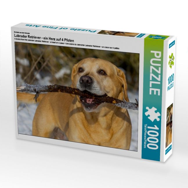 Produktbild: CALVENDO Puzzle Ein Motiv aus dem Kalender Labrador Retriever - ein Herz auf 4 Pfoten | 1000 Teile Lege-Gr&ouml;&szlig;e 64x48cm Foto-Puzzle f&uuml;r gl&uuml;ckliche Stunden