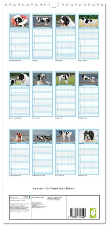 Produktbild: Familienplaner 2027 - Landseer - Das Wasser ist ihr Element mit 5 Spalten (Wandkalender, 21 x 45 cm) CALVENDO