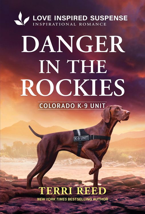 Produktbild: Danger in the Rockies