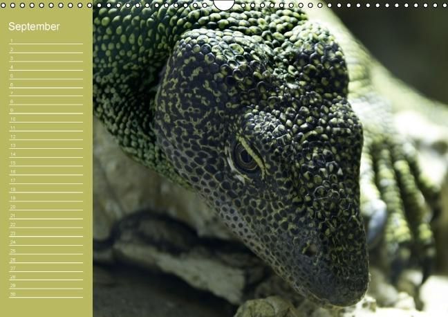 Produktbild: Drachen / Geburtstagskalender (Wandkalender immerw&auml;hrend DIN A3 quer)