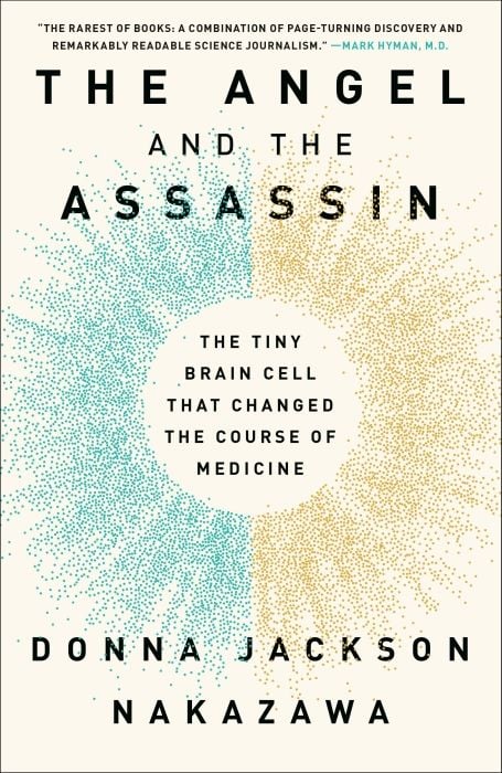 Produktbild: The Angel and the Assassin