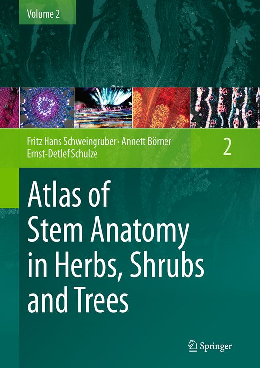 Produktbild: Atlas of Stem Anatomy in Herbs, Shrubs and Trees