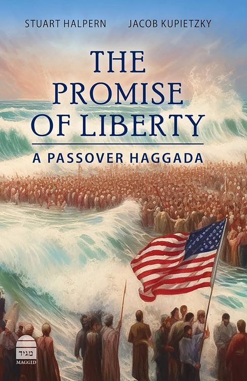 Produktbild: The Promise of Liberty