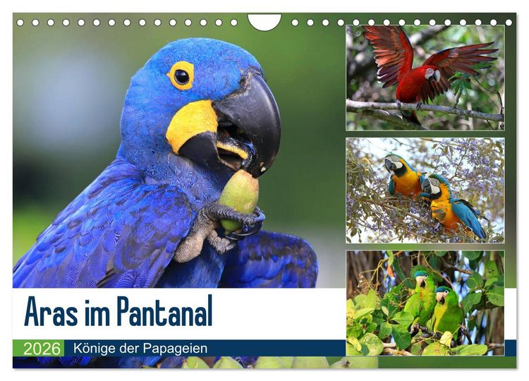 Produktbild: Aras im Pantanal (Wandkalender 2026 DIN A4 quer), CALVENDO Monatskalender