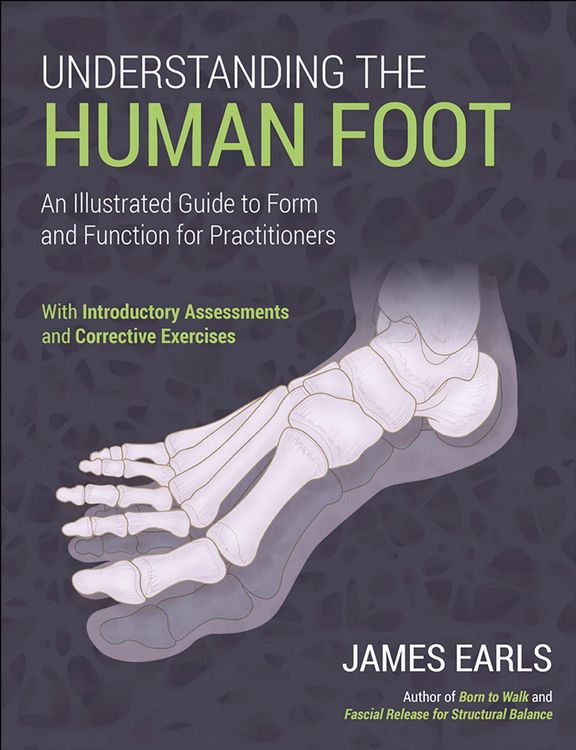 Produktbild: Understanding the Human Foot