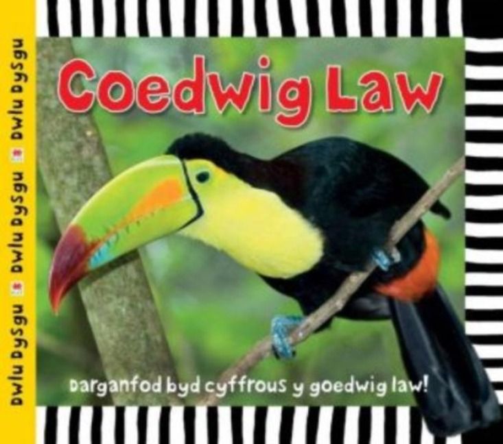 Produktbild: Cyfres Dwlu Dysgu: Coedwig Law