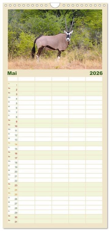 Produktbild: Familienplaner 2026 - Roadtrip in Namibia mit 5 Spalten (Wandkalender, 21 x 45 cm) CALVENDO