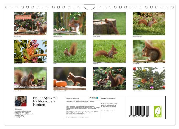 Produktbild: Neuer Spa&szlig; mit Eichh&ouml;rnchen-Kindern (Wandkalender 2026 DIN A4 quer), CALVENDO Monatskalender
