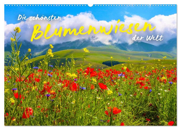 Produktbild: Die sch&ouml;nsten Blumenwiesen der Welt (Wandkalender 2026 DIN A2 quer), CALVENDO Monatskalender