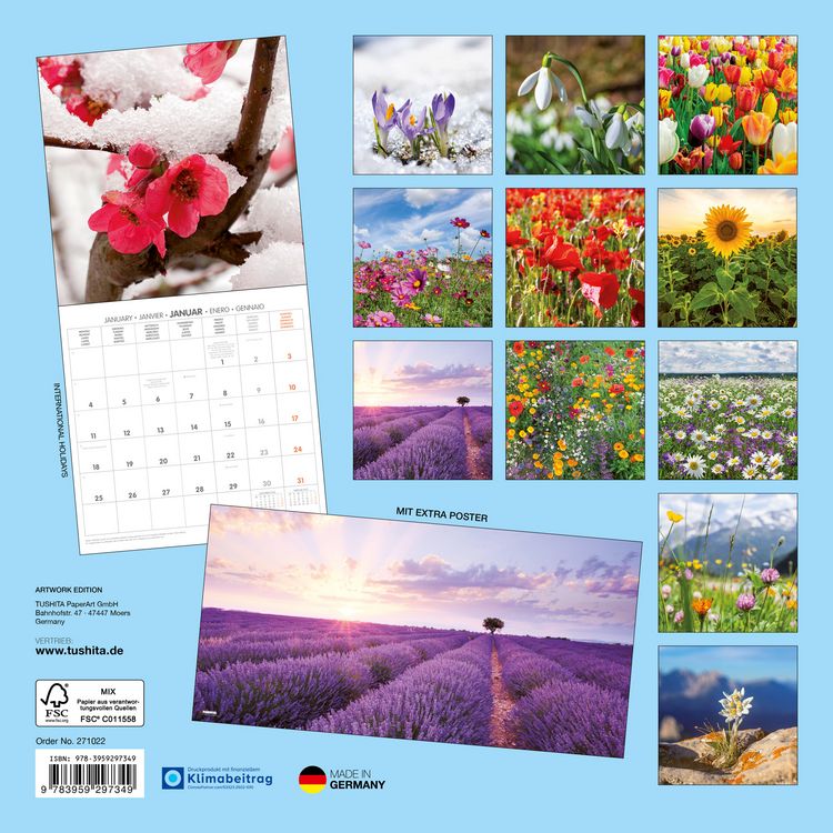 Produktbild: Blumen / Flowers 2027