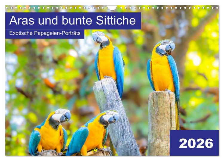 Produktbild: Aras und bunte Sittiche: Exotische Papageien-Portr&auml;ts (Wandkalender 2026 DIN A3 quer), CALVENDO Monatskalender