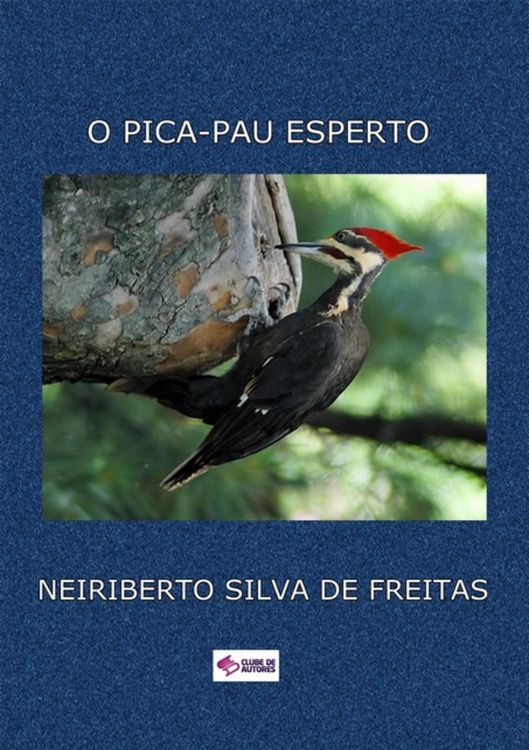 Produktbild: O Pica-pau Esperto