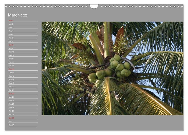 Produktbild: Philippines Colorful Life (Wall Calendar 2026 DIN A3 landscape), CALVENDO 12 Month Wall Calendar