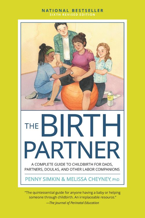 Produktbild: The Birth Partner, Sixth Revised Edition