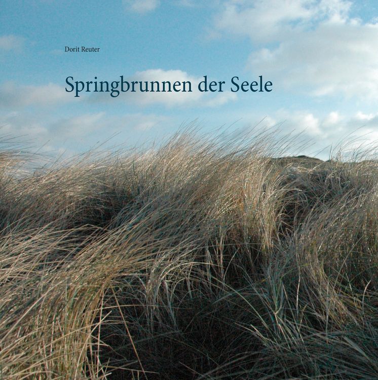 Produktbild: Springbrunnen der Seele