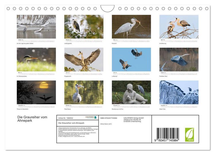 Produktbild: Die Graureiher vom Ahnepark (Wandkalender 2026 DIN A4 quer), CALVENDO Monatskalender