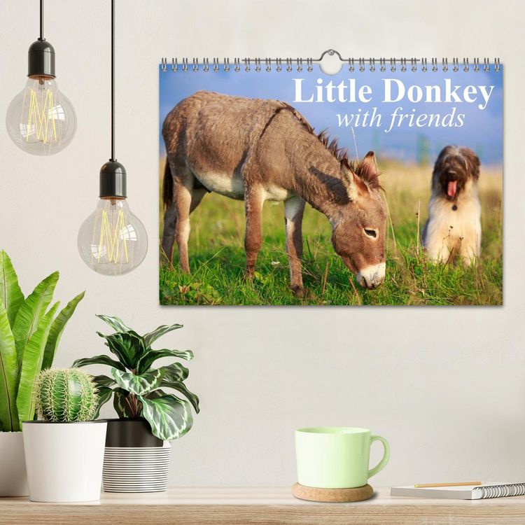 Produktbild: Little Donkey with Friends (Wall Calendar 2026 DIN A4 landscape), CALVENDO 12 Month Wall Calendar