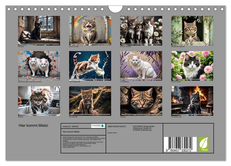 Produktbild: Hier kommt Mietzi (Wandkalender 2026 DIN A4 quer), CALVENDO Monatskalender