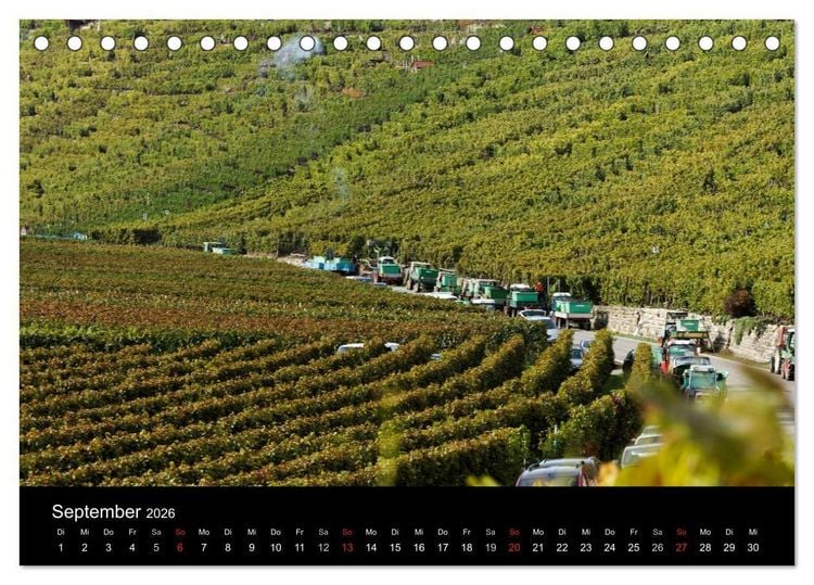 Produktbild: Das Jahr im Weinberg (Tischkalender 2026 DIN A5 quer), CALVENDO Monatskalender