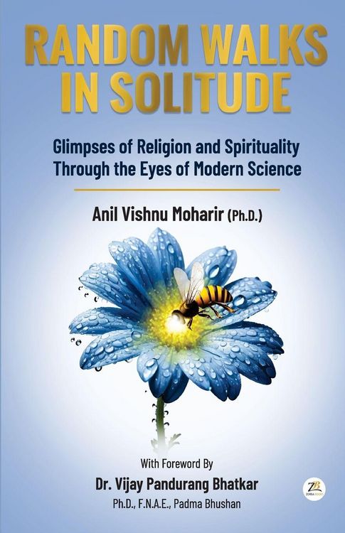Produktbild: Random Walks In Solitude