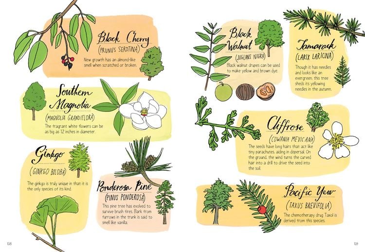 Produktbild: Nature Anatomy