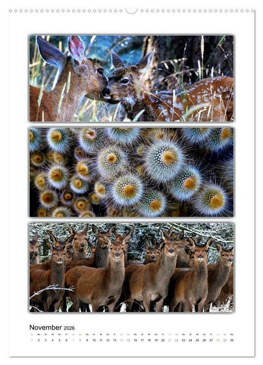 Produktbild: Farbsymphonien unserer Welt (hochwertiger Premium Wandkalender 2026 DIN A2 hoch), Kunstdruck in Hochglanz