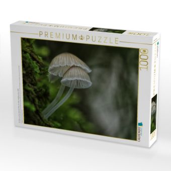 Produktbild: CALVENDO Puzzle Ein Motiv aus dem Kalender Pilze, die stillen Waldbewohner 2019 | 1000 Teile Lege-Gr&ouml;&szlig;e 64x48cm Foto-Puzzle f&uuml;r gl&uuml;ckliche Stunden