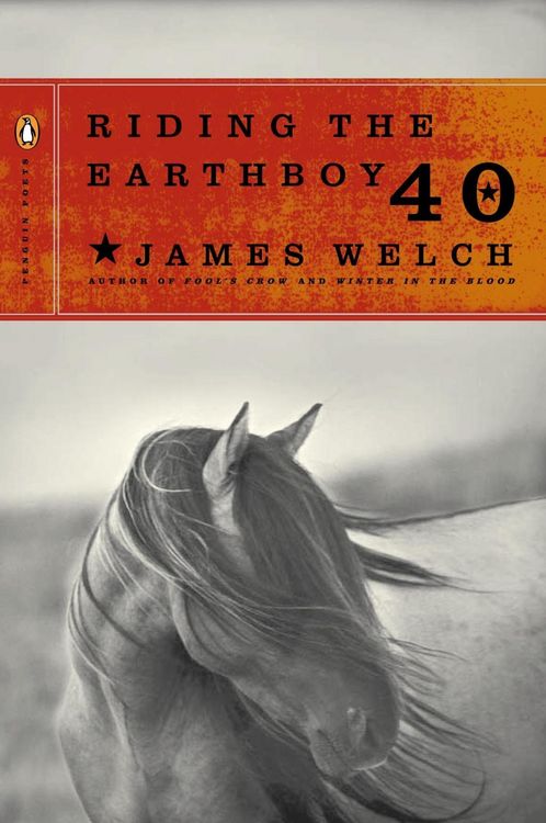Produktbild: Riding the Earthboy 40