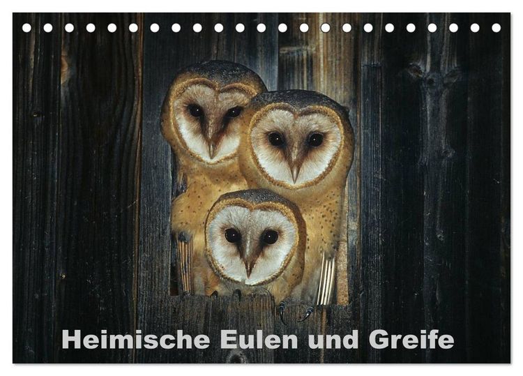 Produktbild: Heimische Eulen und Greife (Tischkalender 2026 DIN A5 quer), CALVENDO Monatskalender