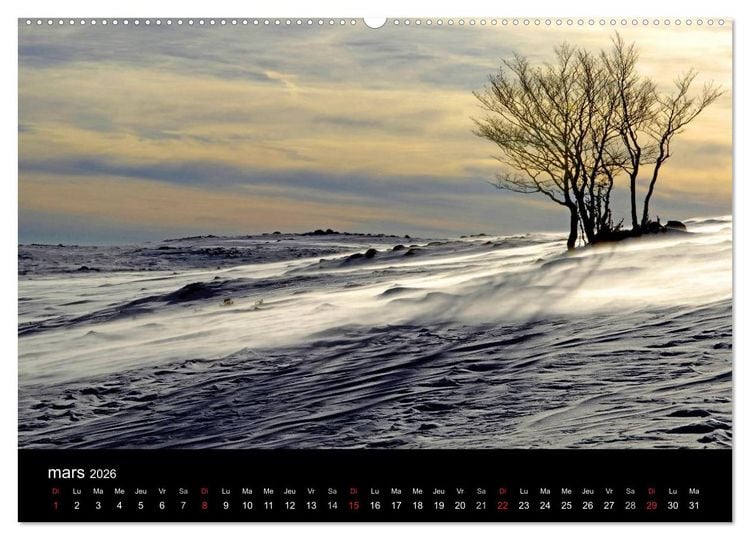Produktbild: AUBRAC (Calendrier mural 2026 DIN A2 vertical) calendrier de bureau
