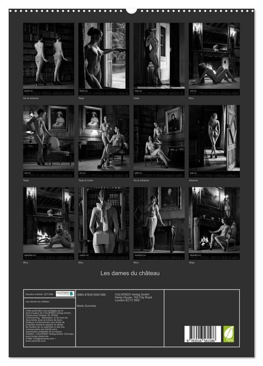 Produktbild: Les dames du ch&acirc;teau (Calendrier mural 2026 DIN A2 horizontal) calendrier de bureau