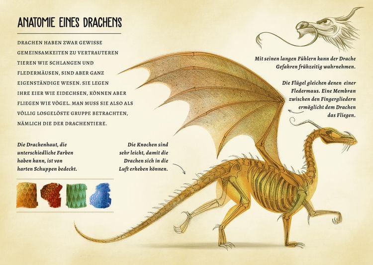 Produktbild: Drachen