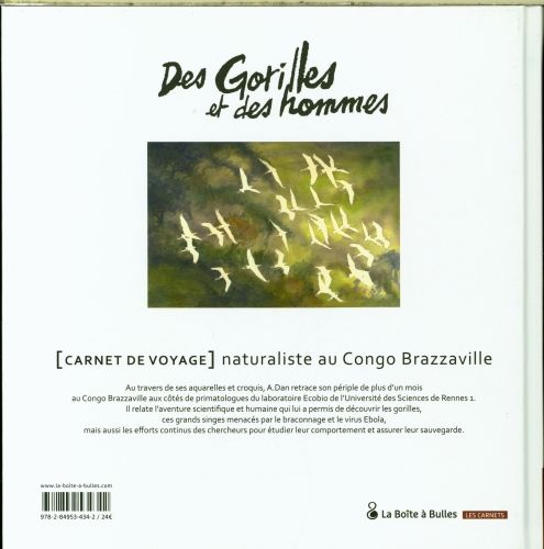 Produktbild: Des gorilles et des hommes